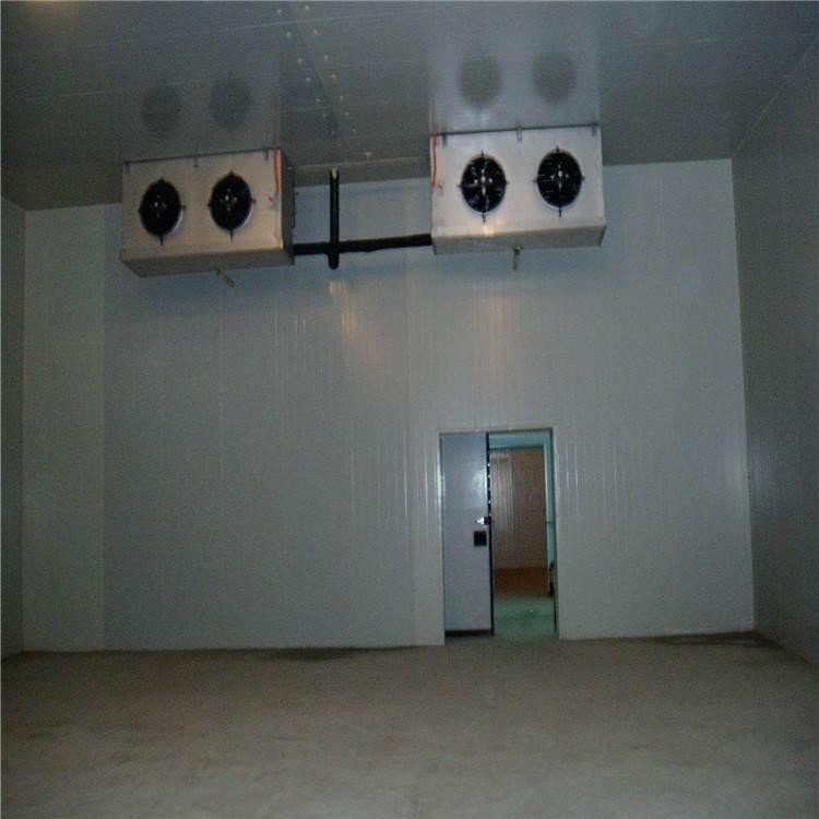 建設(shè)蔬菜冷藏庫(kù)需要注意的溫度問(wèn)題?